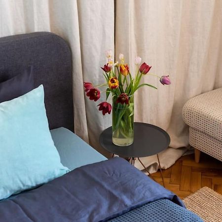 No.8: Lovely & Cosy 3-Room Heart Of The City Тимишоара Экстерьер фото