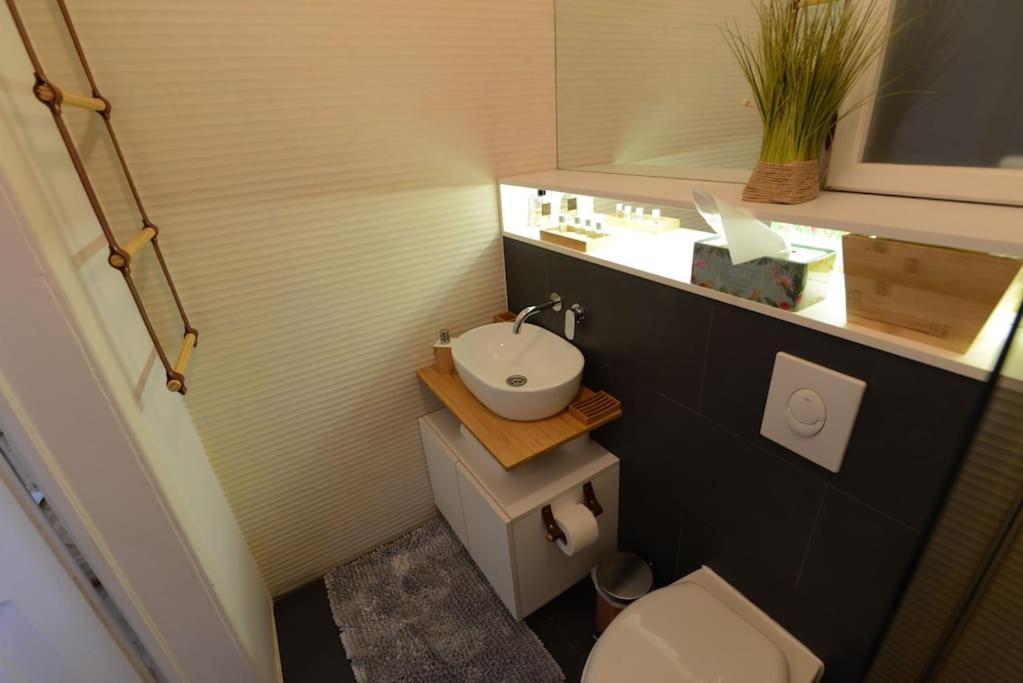 No.8: Lovely & Cosy 3-Room Heart Of The City Тимишоара Экстерьер фото