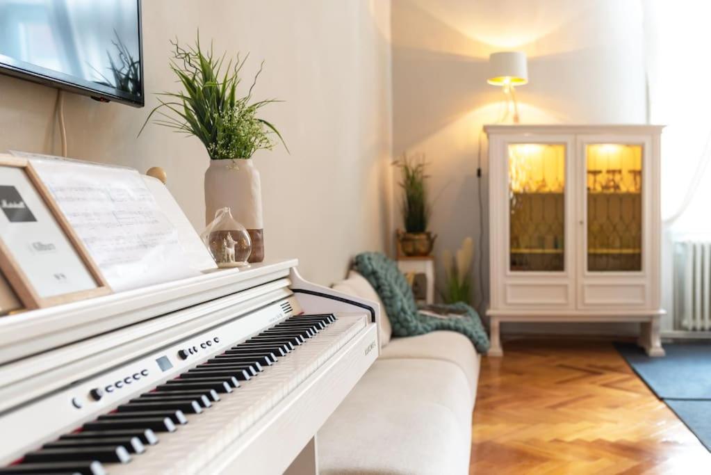 No.8: Lovely & Cosy 3-Room Heart Of The City Тимишоара Экстерьер фото