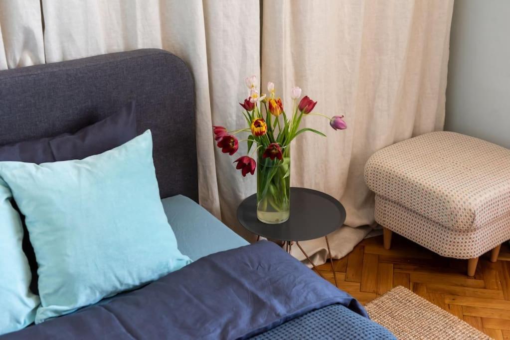 No.8: Lovely & Cosy 3-Room Heart Of The City Тимишоара Экстерьер фото