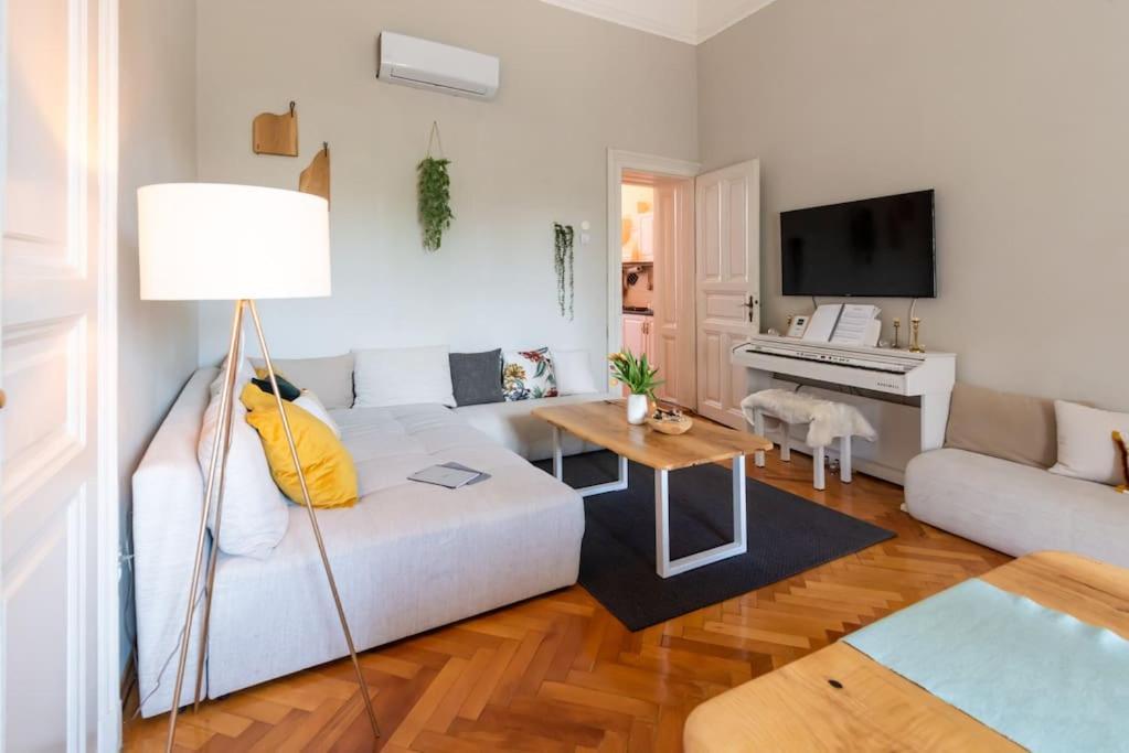 No.8: Lovely & Cosy 3-Room Heart Of The City Тимишоара Экстерьер фото