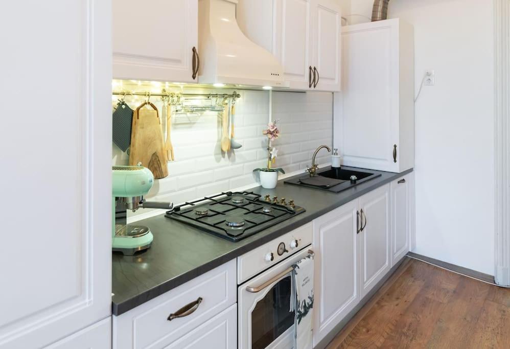 No.8: Lovely & Cosy 3-Room Heart Of The City Тимишоара Экстерьер фото