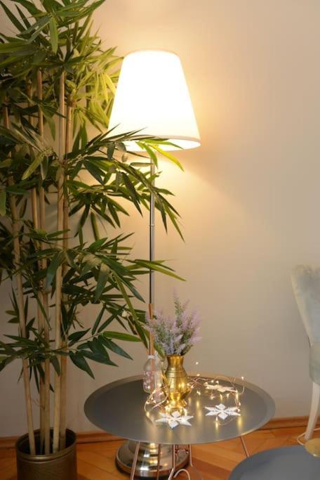 No.8: Lovely & Cosy 3-Room Heart Of The City Тимишоара Экстерьер фото